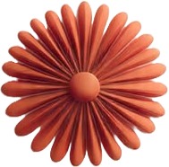 a red flower with a white background 1.jpg